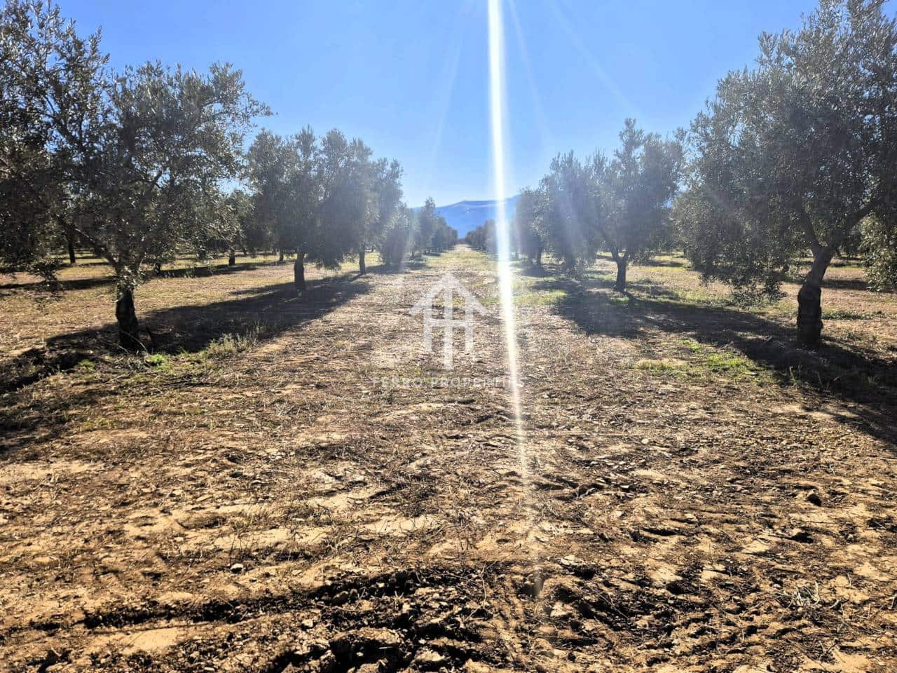 Landgrundstück zu verkaufen in Cogollos de Guadix - 850.000 € (Ref: 9451798)