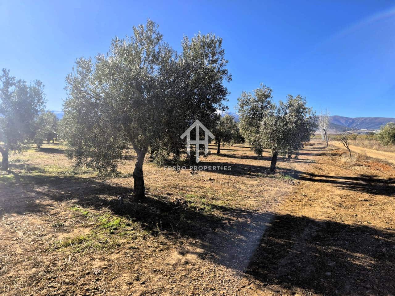 Landgrundstück zu verkaufen in Cogollos de Guadix - 850.000 € (Ref: 9451798)