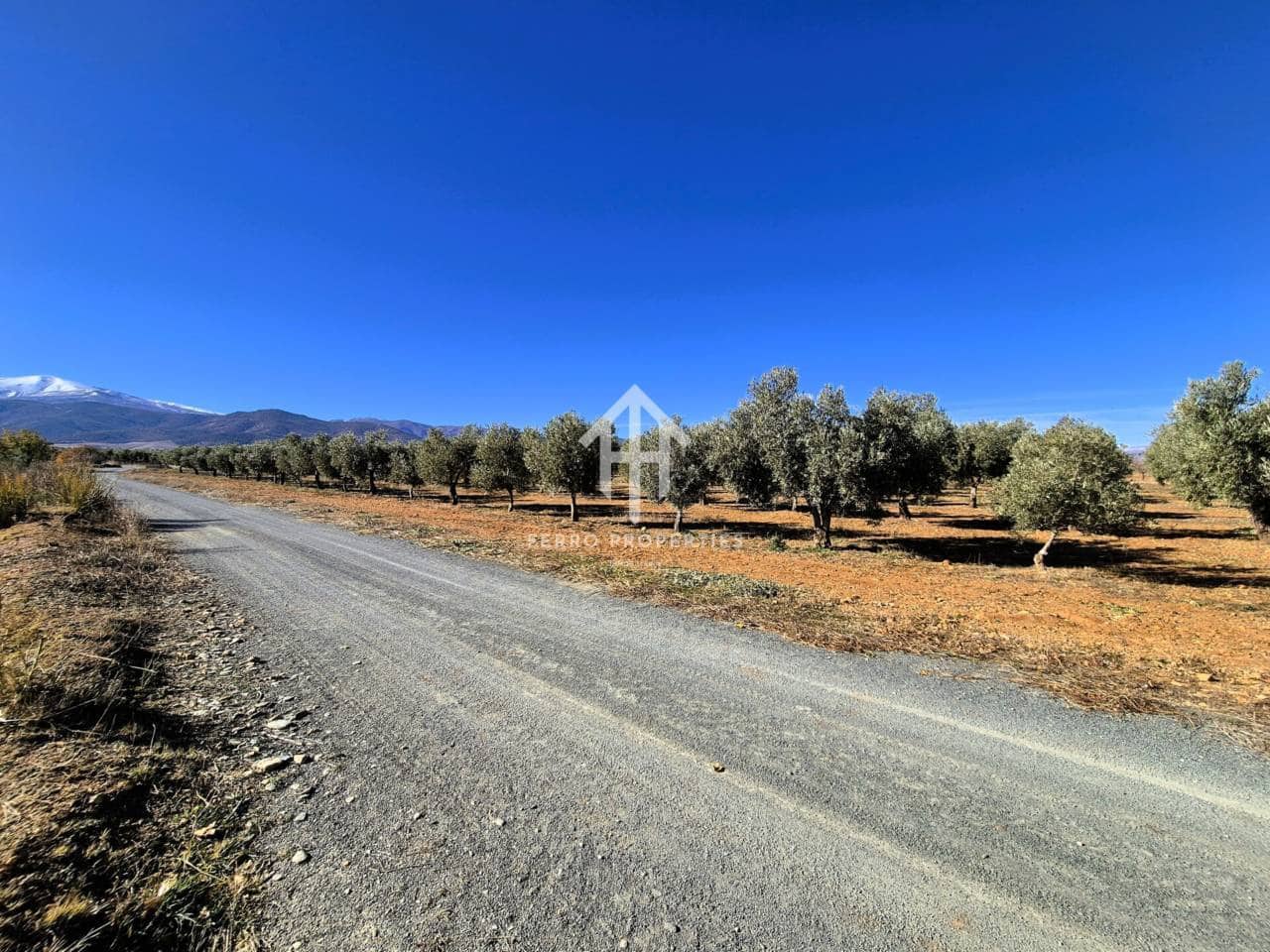 Landgrundstück zu verkaufen in Cogollos de Guadix - 850.000 € (Ref: 9451798)