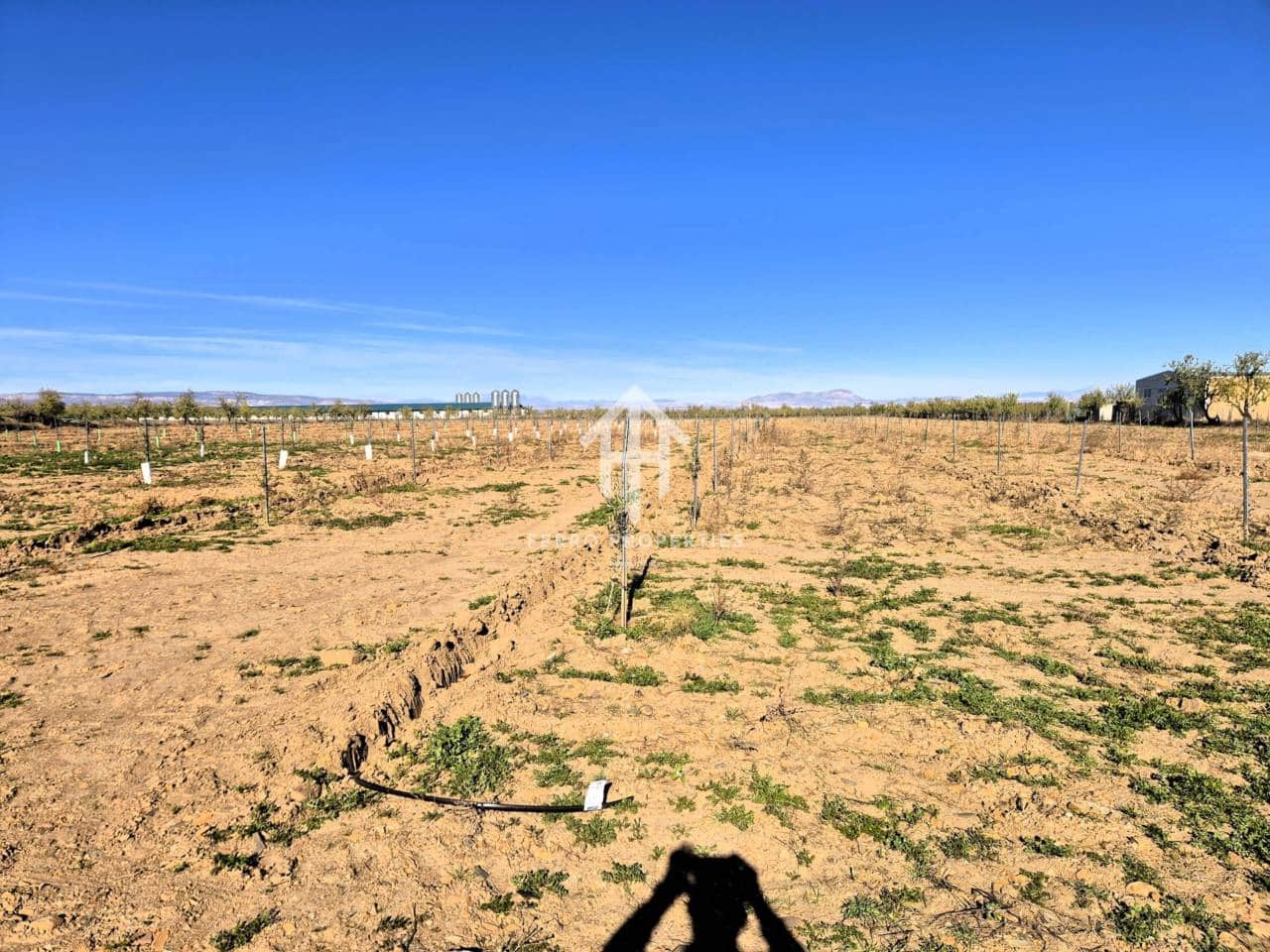 Landgrundstück zu verkaufen in Cogollos de Guadix - 850.000 € (Ref: 9451798)