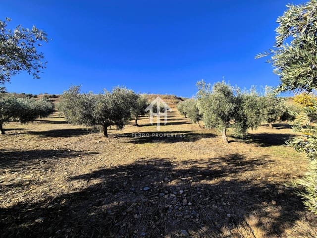 Terre non Aménagée à vendre à Cogollos de Guadix - 850 000 € (Ref: 9451798)