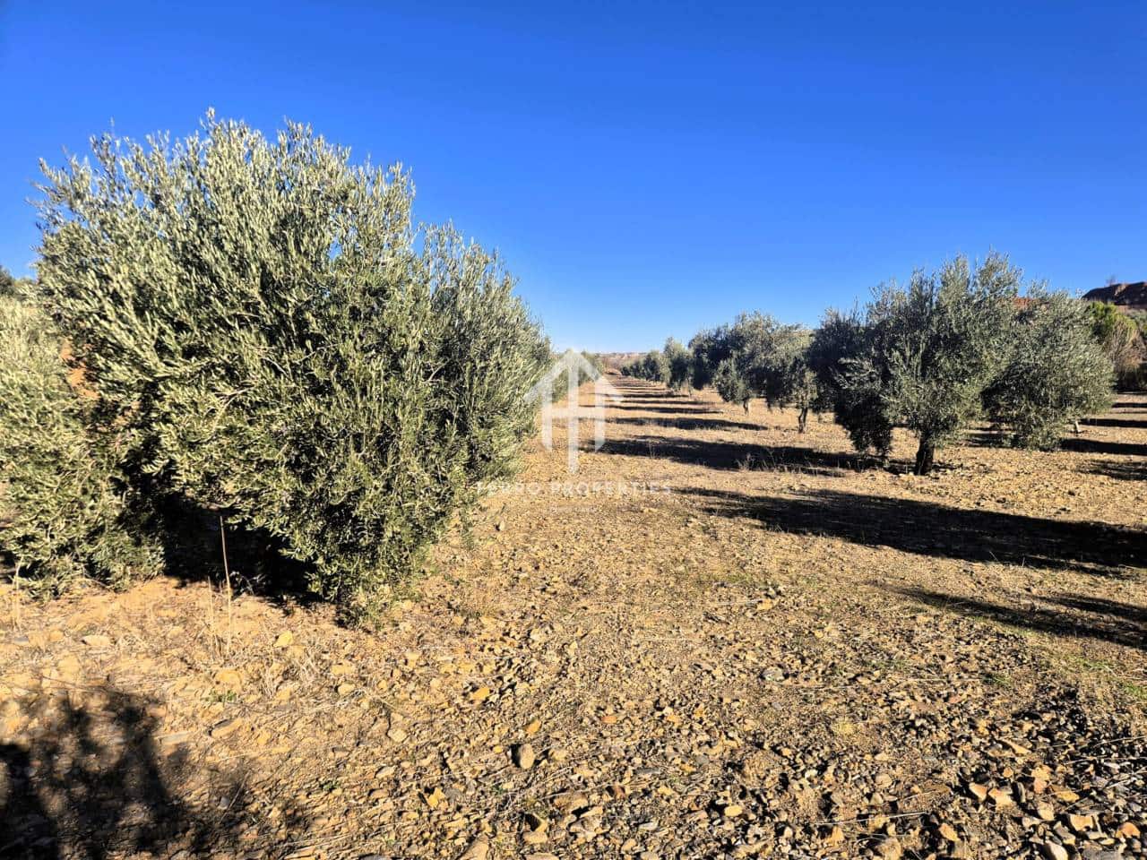 Landgrundstück zu verkaufen in Cogollos de Guadix - 850.000 € (Ref: 9451798)