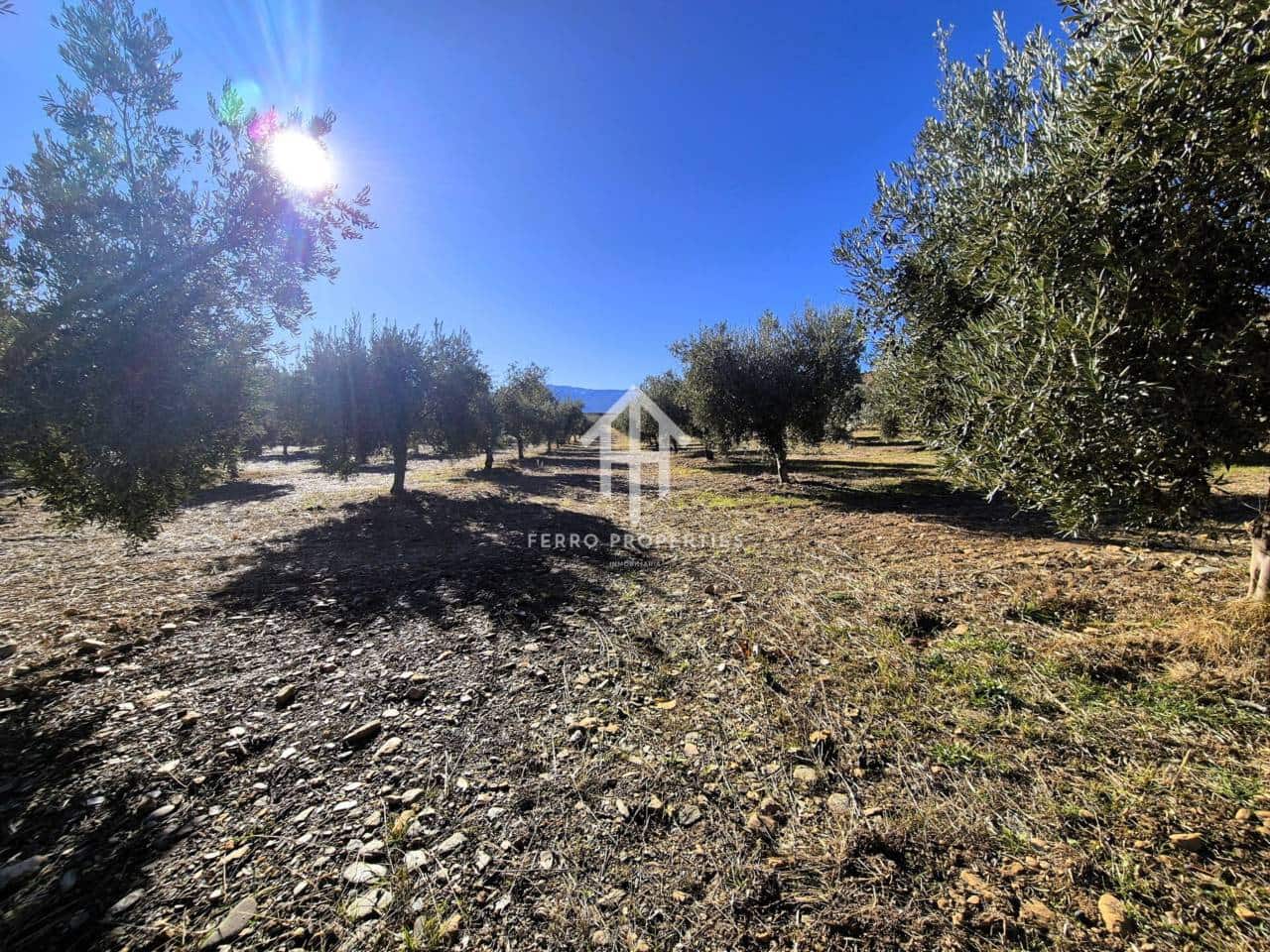 Landgrundstück zu verkaufen in Cogollos de Guadix - 850.000 € (Ref: 9451798)