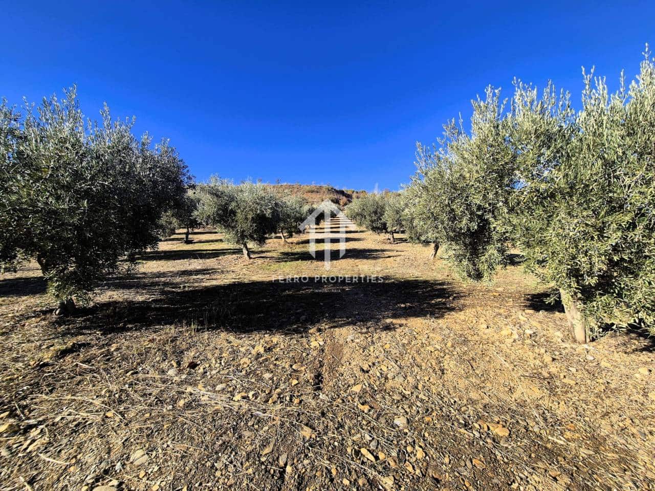 Landgrundstück zu verkaufen in Cogollos de Guadix - 850.000 € (Ref: 9451798)