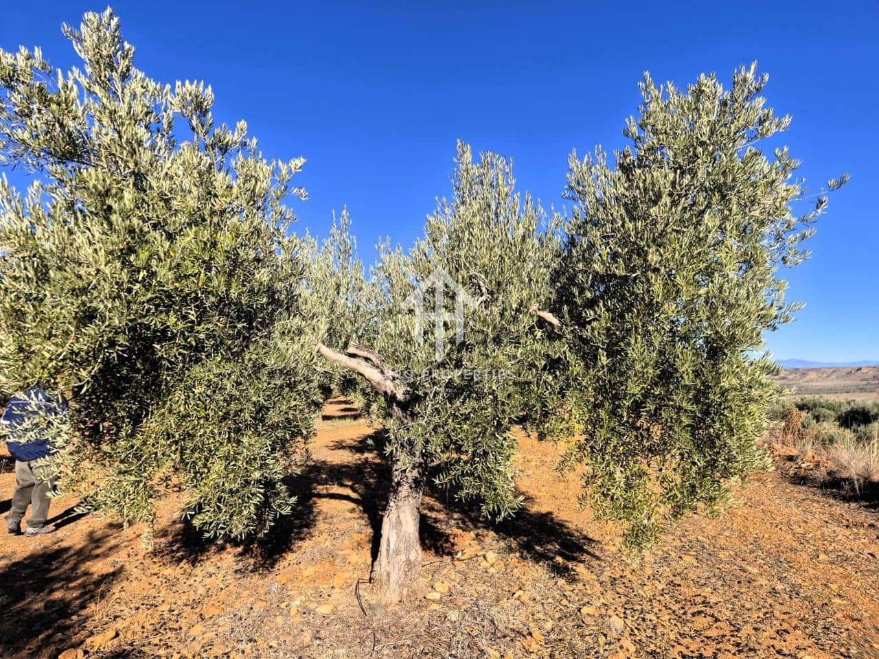 Landgrundstück zu verkaufen in Cogollos de Guadix - 850.000 € (Ref: 9451798)