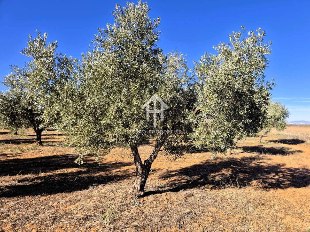 Landgrundstück zu verkaufen in Cogollos de Guadix - 850.000 € (Ref: 9451798)