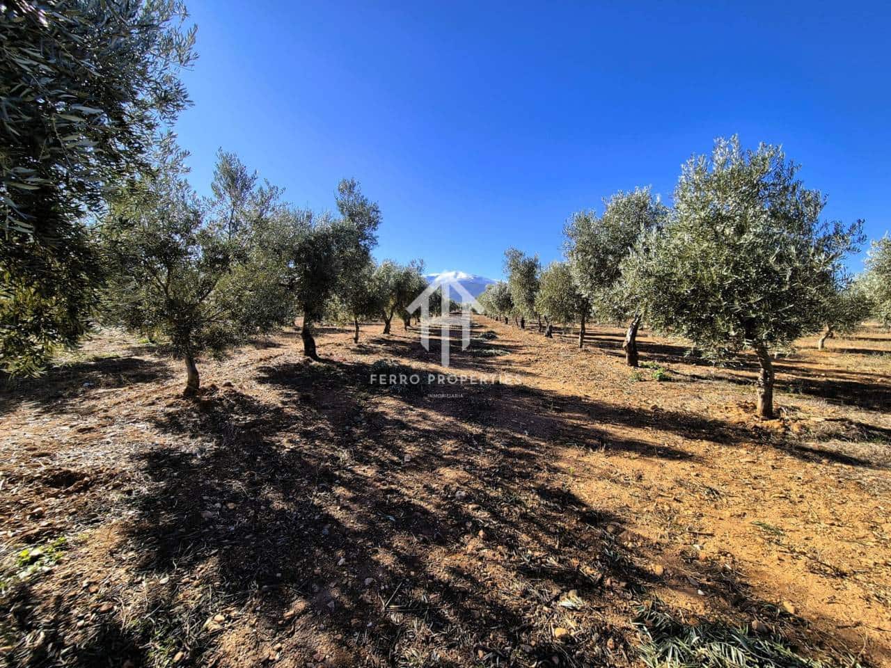 Landgrundstück zu verkaufen in Cogollos de Guadix - 850.000 € (Ref: 9451798)