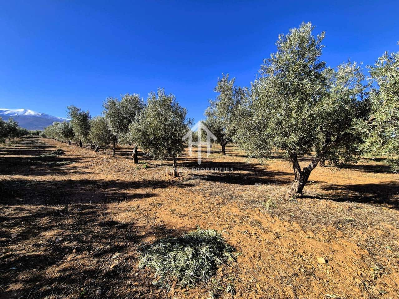 Landgrundstück zu verkaufen in Cogollos de Guadix - 850.000 € (Ref: 9451798)