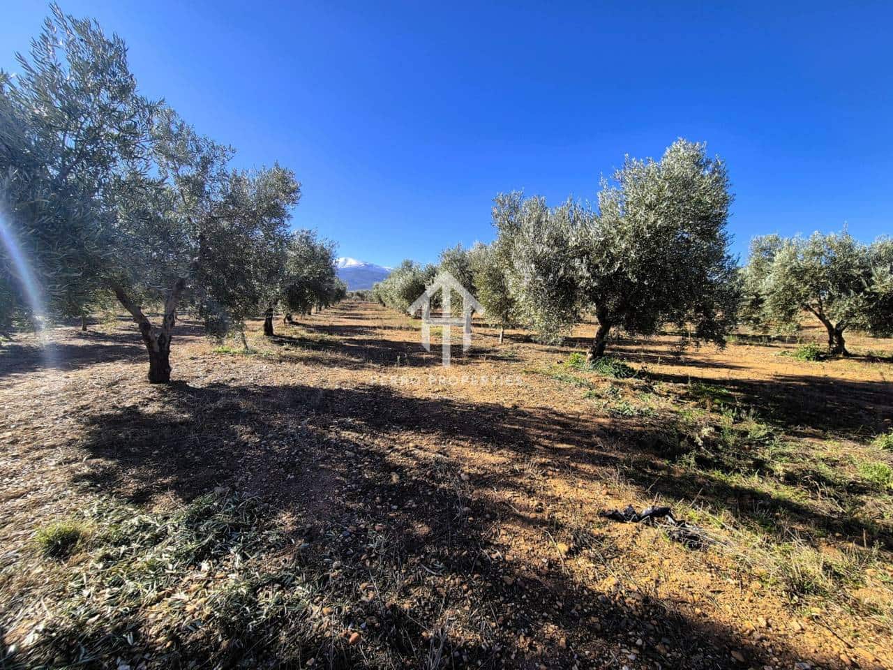 Landgrundstück zu verkaufen in Cogollos de Guadix - 850.000 € (Ref: 9451798)