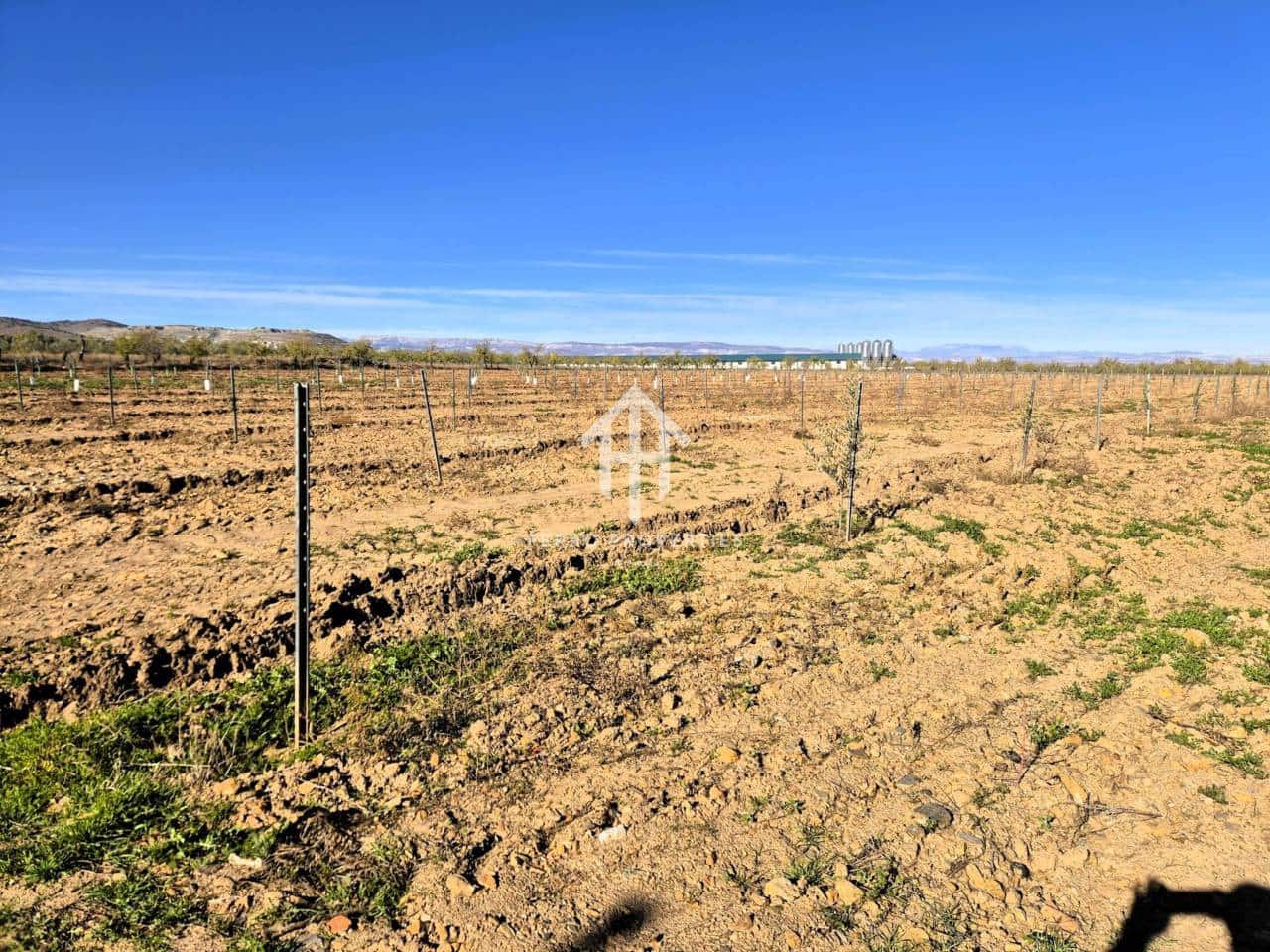 Landgrundstück zu verkaufen in Cogollos de Guadix - 850.000 € (Ref: 9451798)