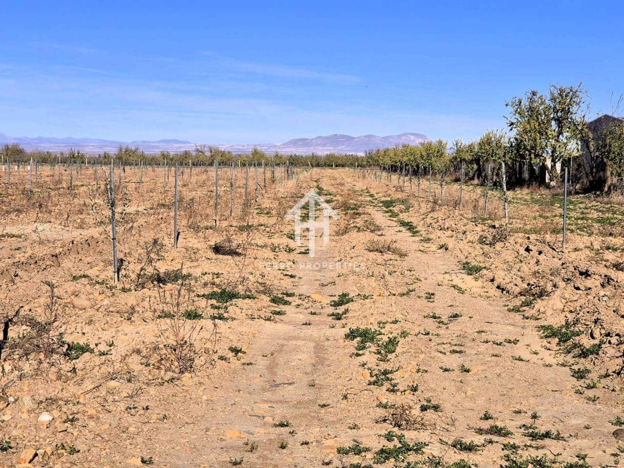 Landgrundstück zu verkaufen in Cogollos de Guadix - 850.000 € (Ref: 9451798)