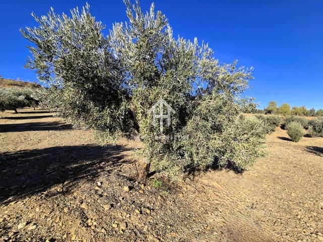 Terre non Aménagée à vendre à Cogollos de Guadix - 850 000 € (Ref: 9451798)