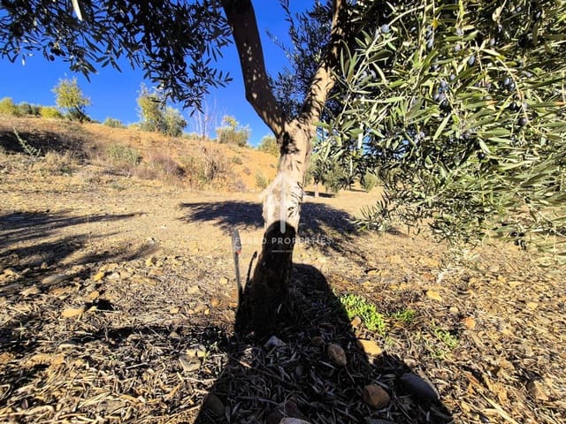 Terre non Aménagée à vendre à Cogollos de Guadix - 850 000 € (Ref: 9451798)