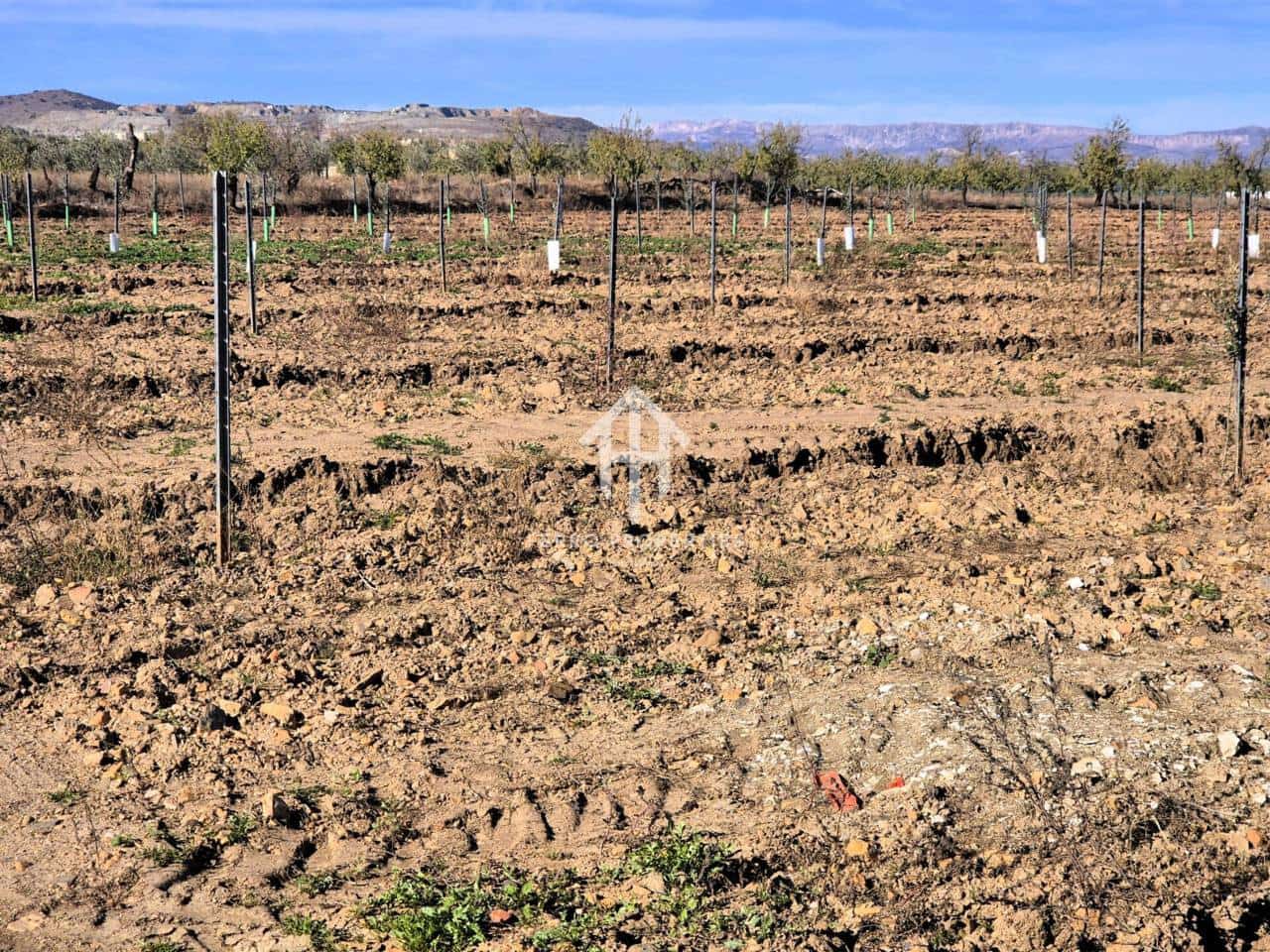 Landgrundstück zu verkaufen in Cogollos de Guadix - 850.000 € (Ref: 9451798)