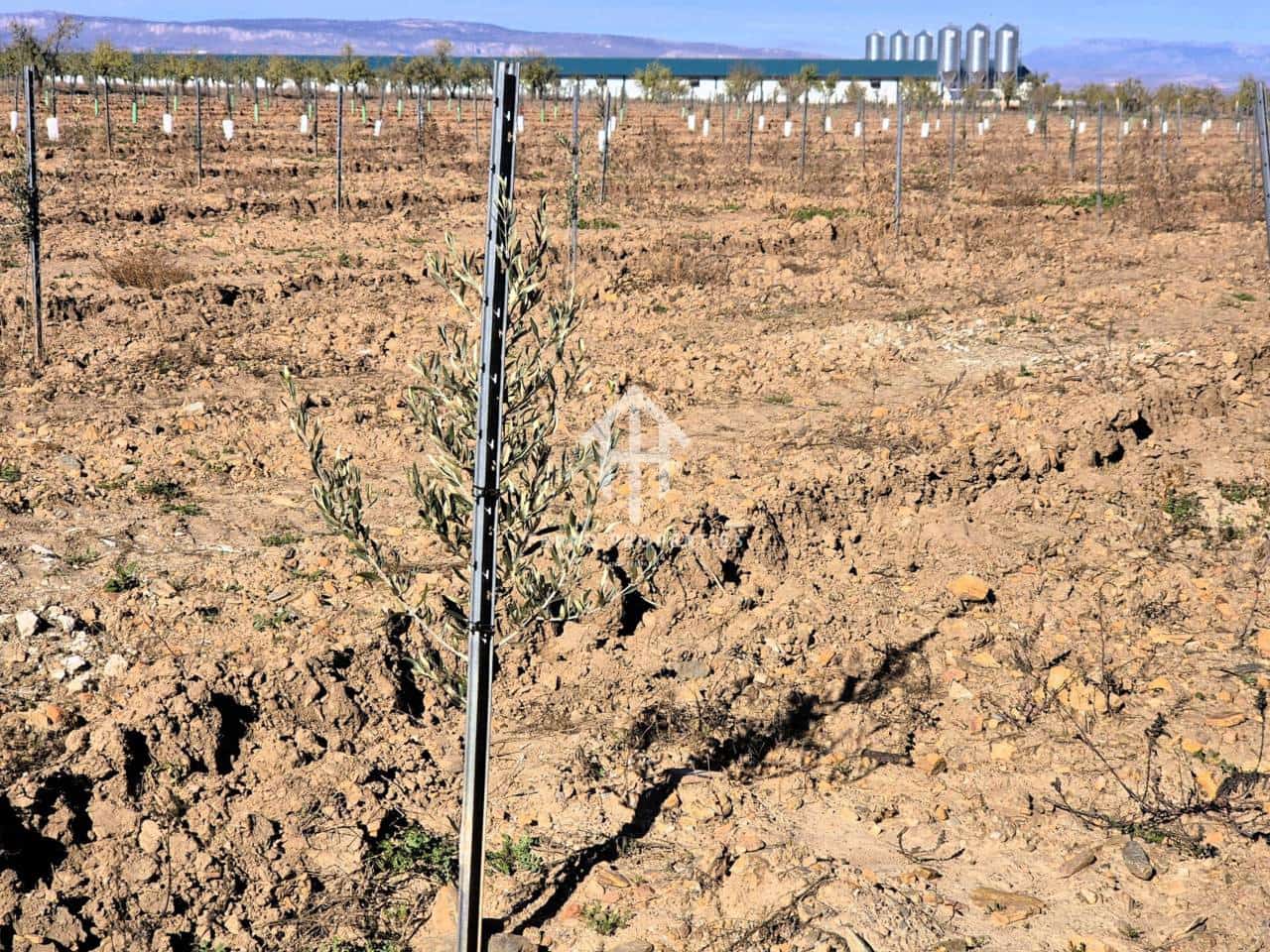 Landgrundstück zu verkaufen in Cogollos de Guadix - 850.000 € (Ref: 9451798)