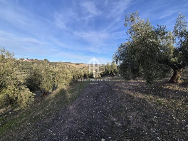 Finca/Maison de Campagne à vendre à Iznalloz - 850 000 € (Ref: 9475822)