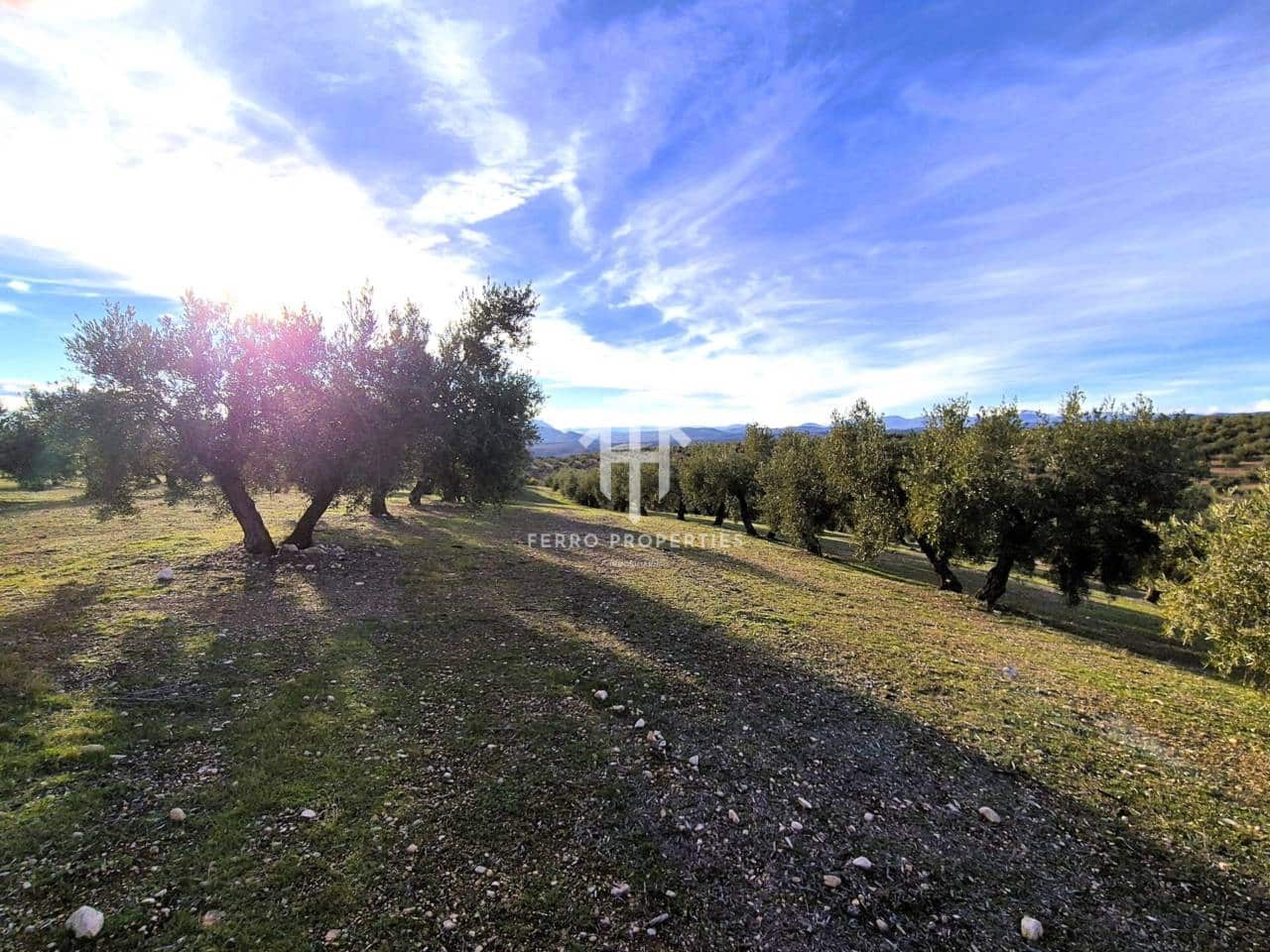 Finca/Maison de Campagne à vendre à Iznalloz - 850 000 € (Ref: 9475822)