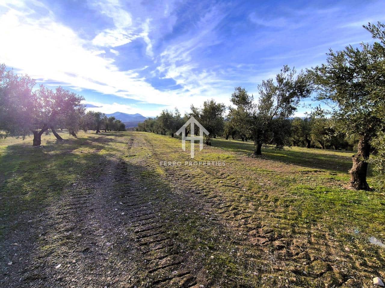 Finca/Maison de Campagne à vendre à Iznalloz - 850 000 € (Ref: 9475822)