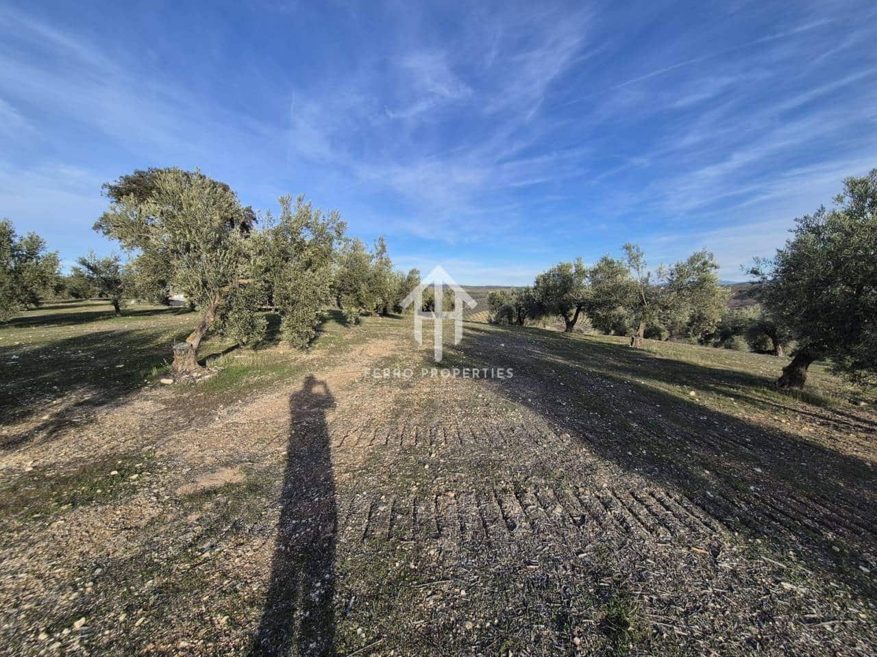 Finca/Maison de Campagne à vendre à Iznalloz - 850 000 € (Ref: 9475822)