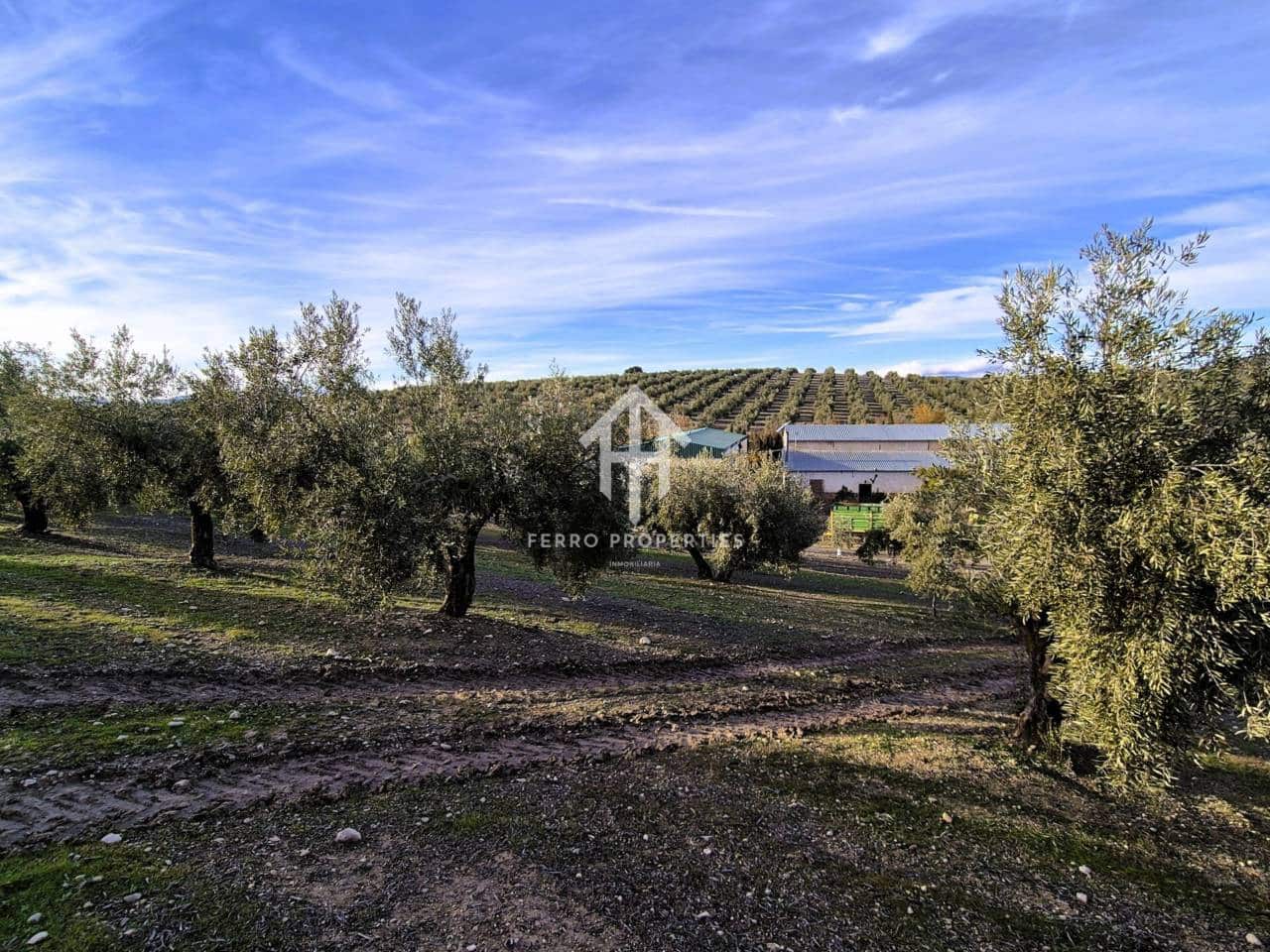 Finca/Maison de Campagne à vendre à Iznalloz - 850 000 € (Ref: 9475822)