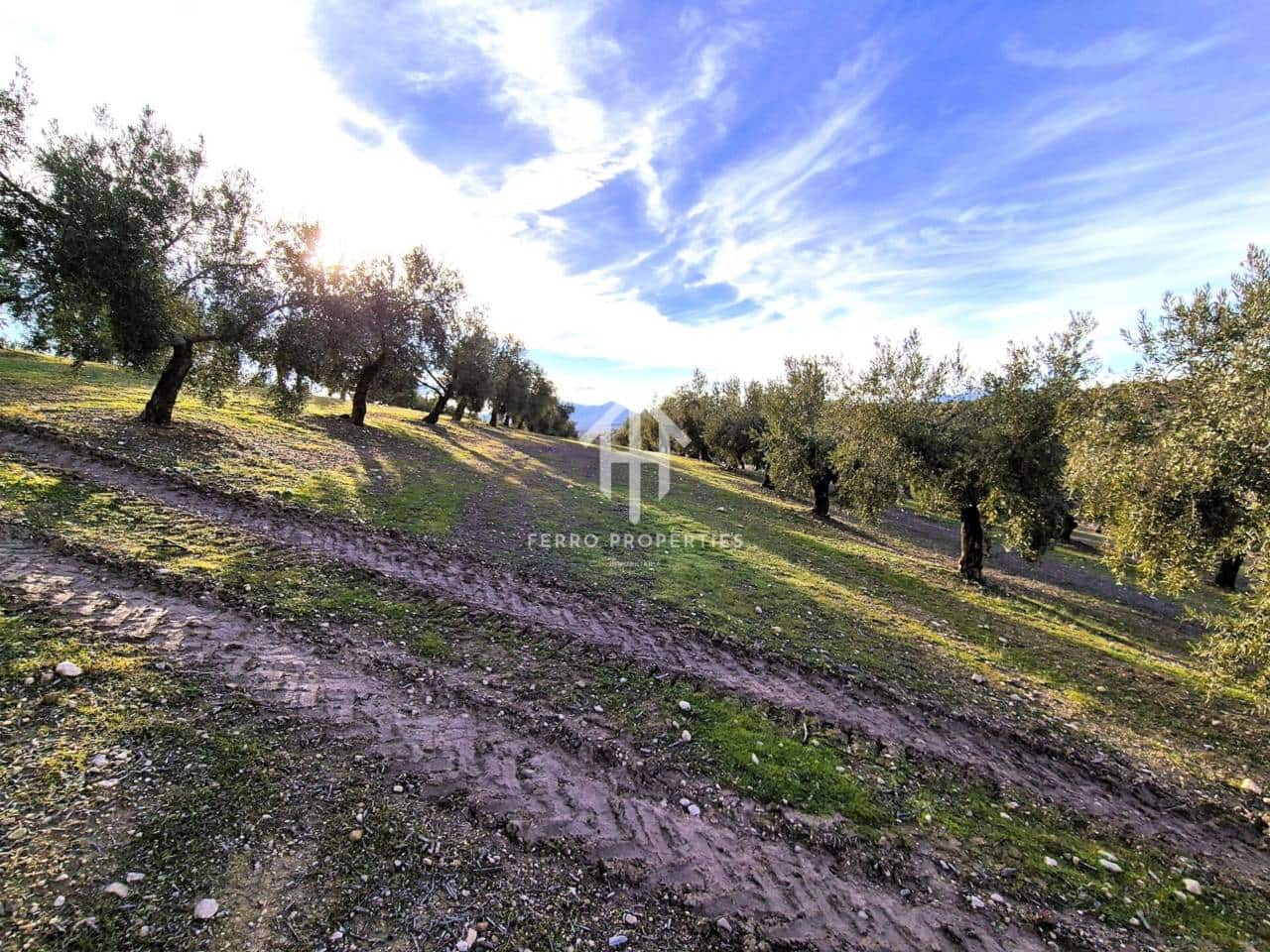 Finca/Maison de Campagne à vendre à Iznalloz - 850 000 € (Ref: 9475822)