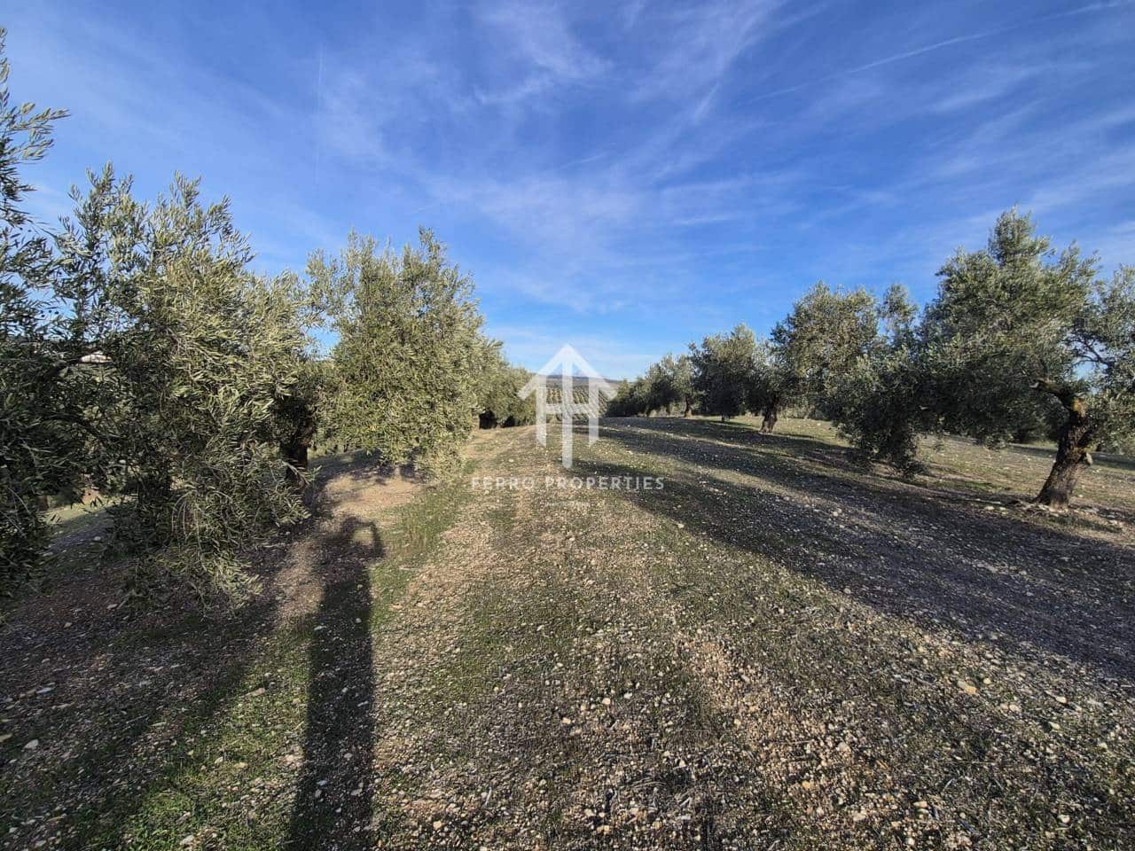 Finca/Maison de Campagne à vendre à Iznalloz - 850 000 € (Ref: 9475822)