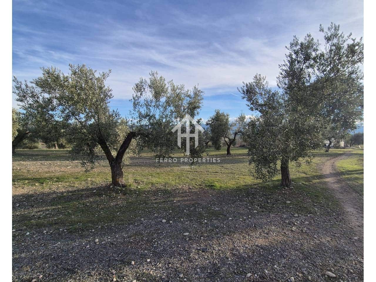 Finca/Maison de Campagne à vendre à Iznalloz - 850 000 € (Ref: 9475822)