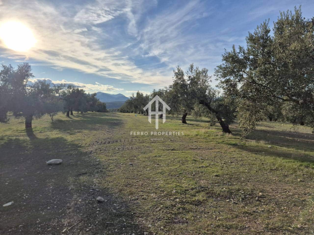 Finca/Maison de Campagne à vendre à Iznalloz - 850 000 € (Ref: 9475822)