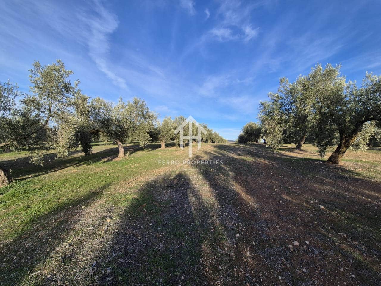 Finca/Maison de Campagne à vendre à Iznalloz - 850 000 € (Ref: 9475822)