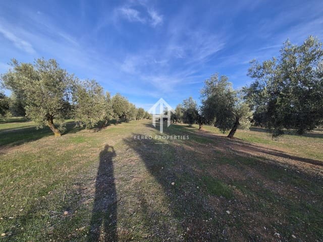 Finca/Maison de Campagne à vendre à Iznalloz - 850 000 € (Ref: 9475822)