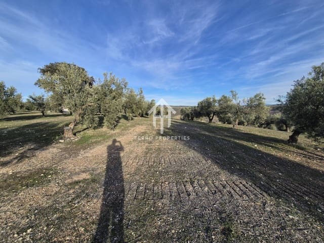 Finca/Maison de Campagne à vendre à Iznalloz - 850 000 € (Ref: 9475822)