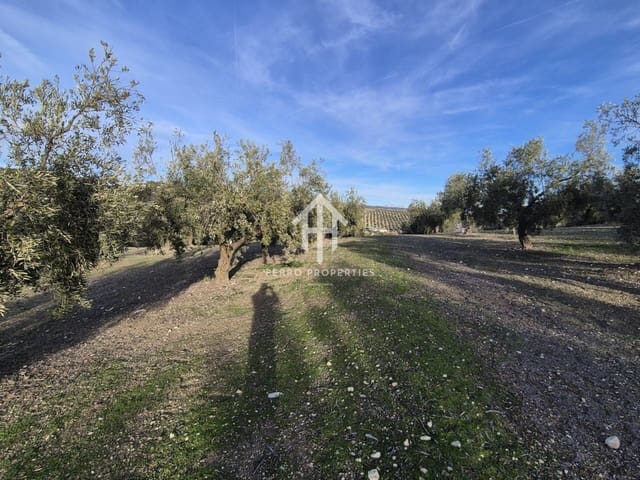 Finca/Maison de Campagne à vendre à Iznalloz - 850 000 € (Ref: 9475822)