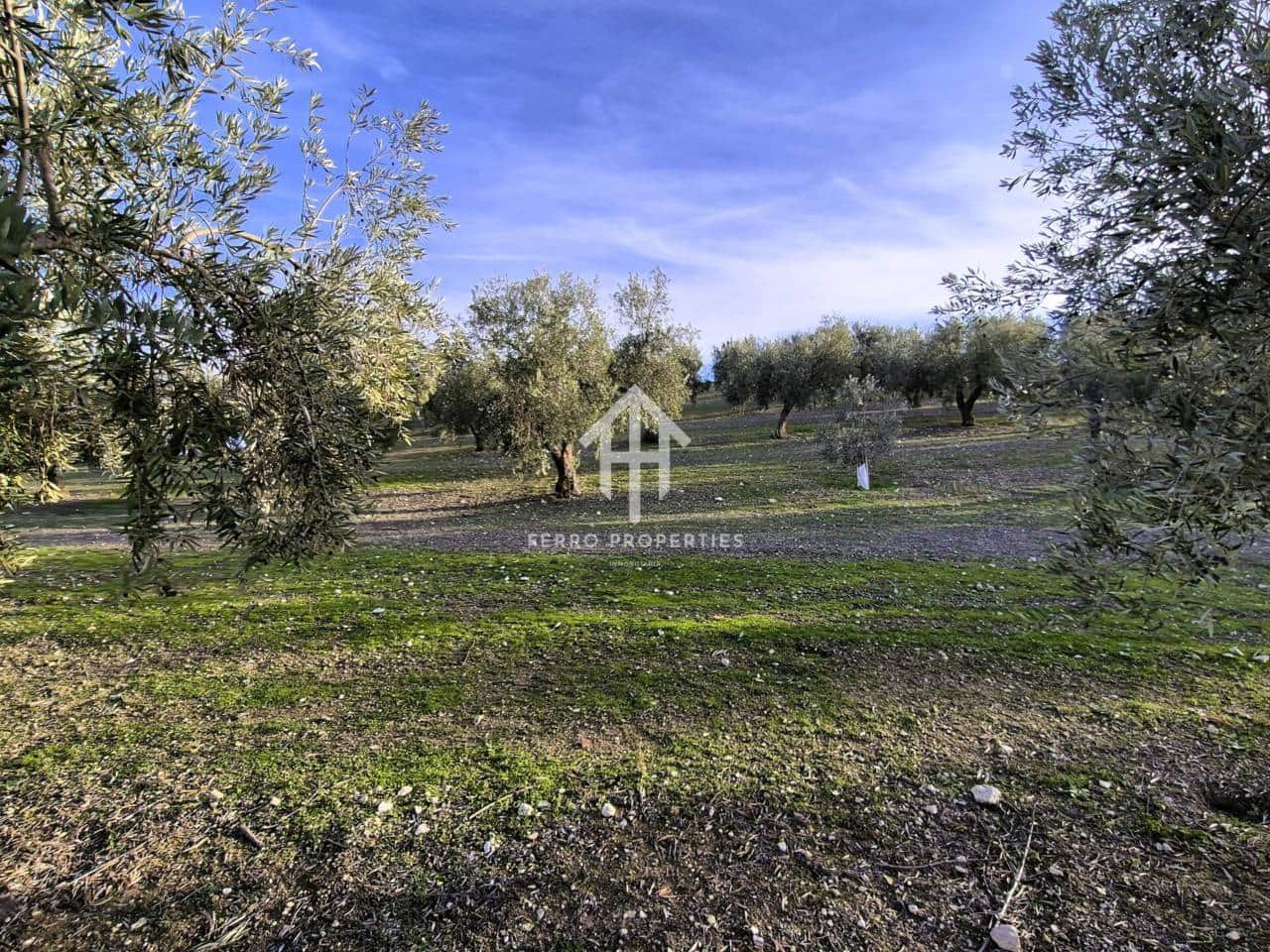 Finca/Maison de Campagne à vendre à Iznalloz - 850 000 € (Ref: 9475822)