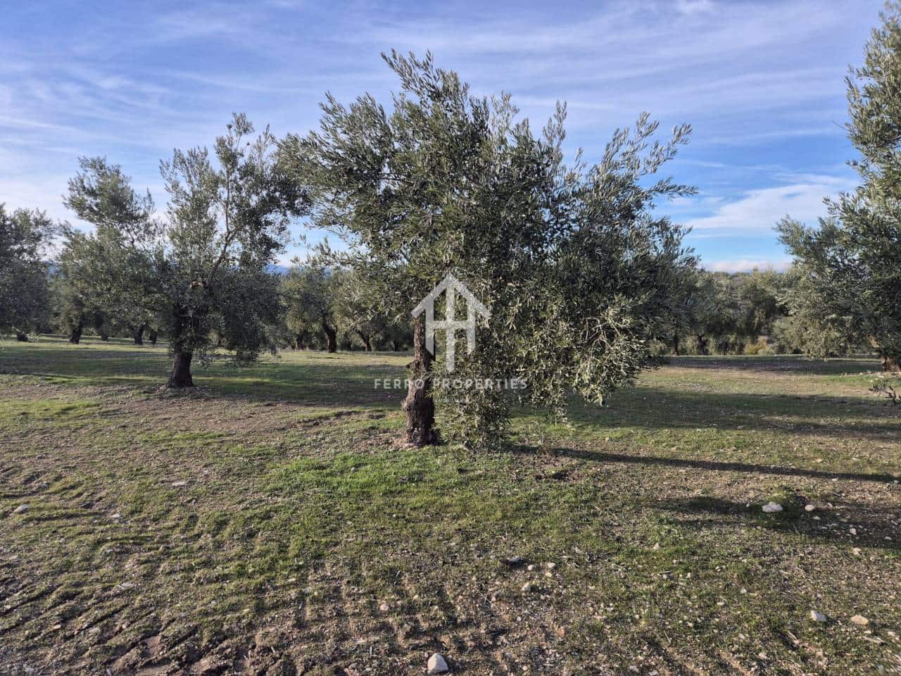 Finca/Maison de Campagne à vendre à Iznalloz - 850 000 € (Ref: 9475822)