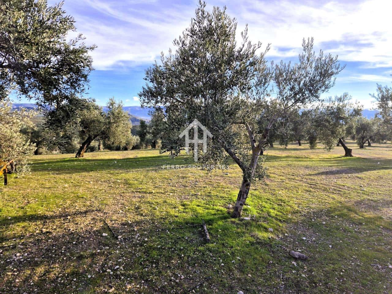 Finca/Maison de Campagne à vendre à Iznalloz - 850 000 € (Ref: 9475822)