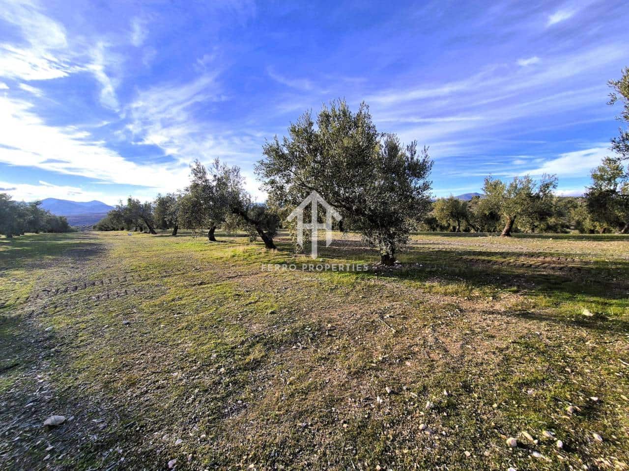 Finca/Maison de Campagne à vendre à Iznalloz - 850 000 € (Ref: 9475822)