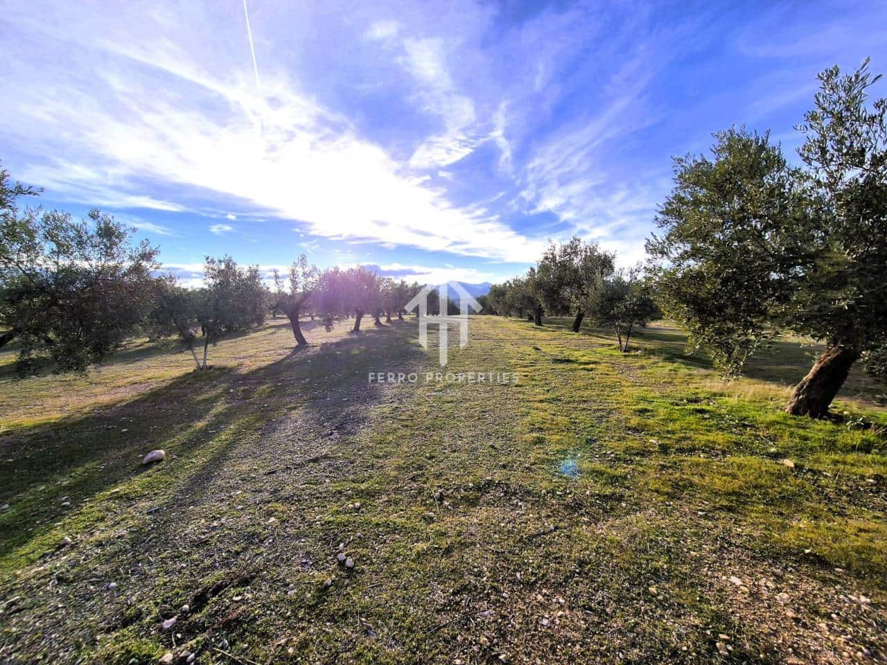 Finca/Maison de Campagne à vendre à Iznalloz - 850 000 € (Ref: 9475822)