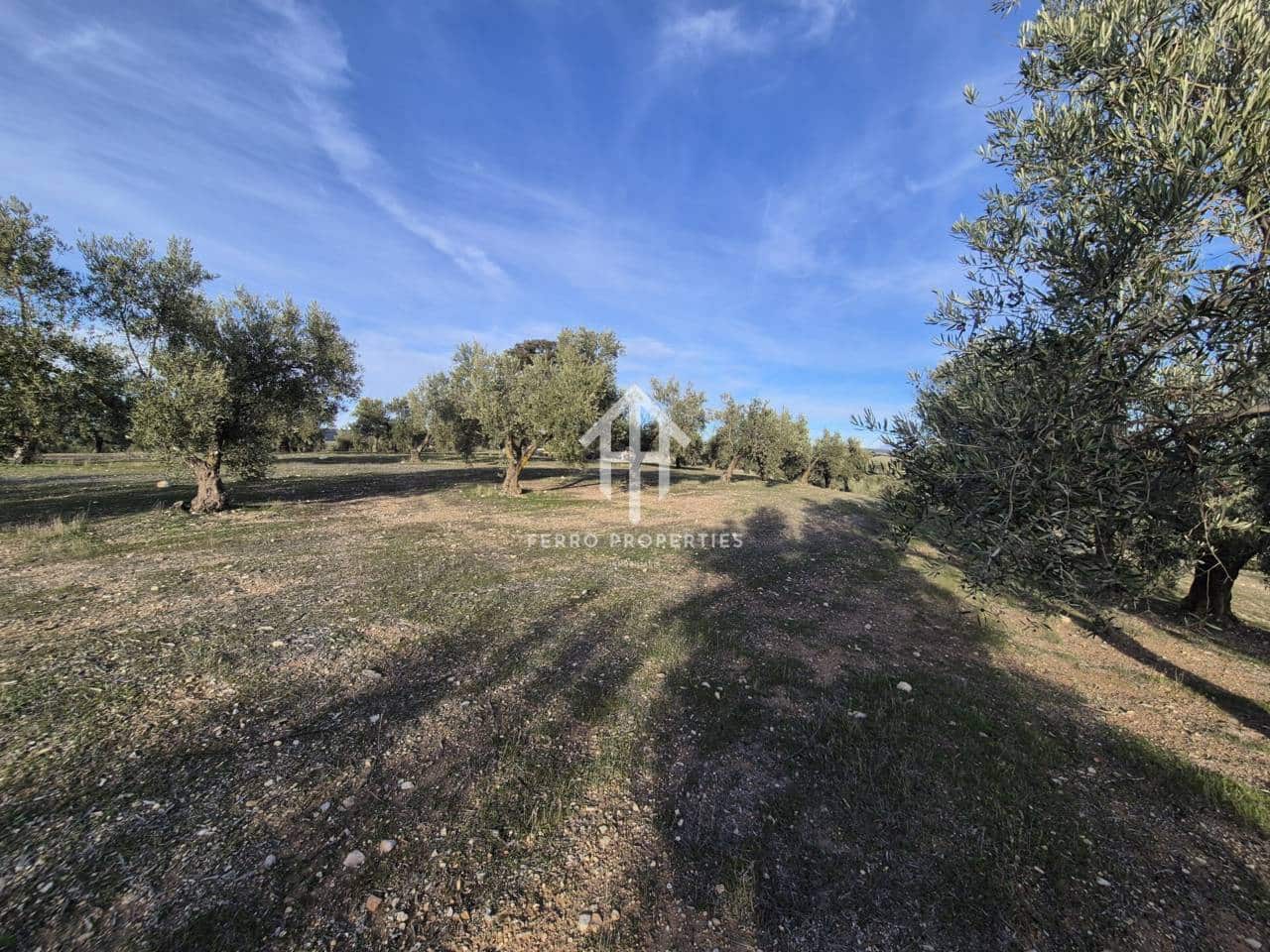 Finca/Maison de Campagne à vendre à Iznalloz - 850 000 € (Ref: 9475822)