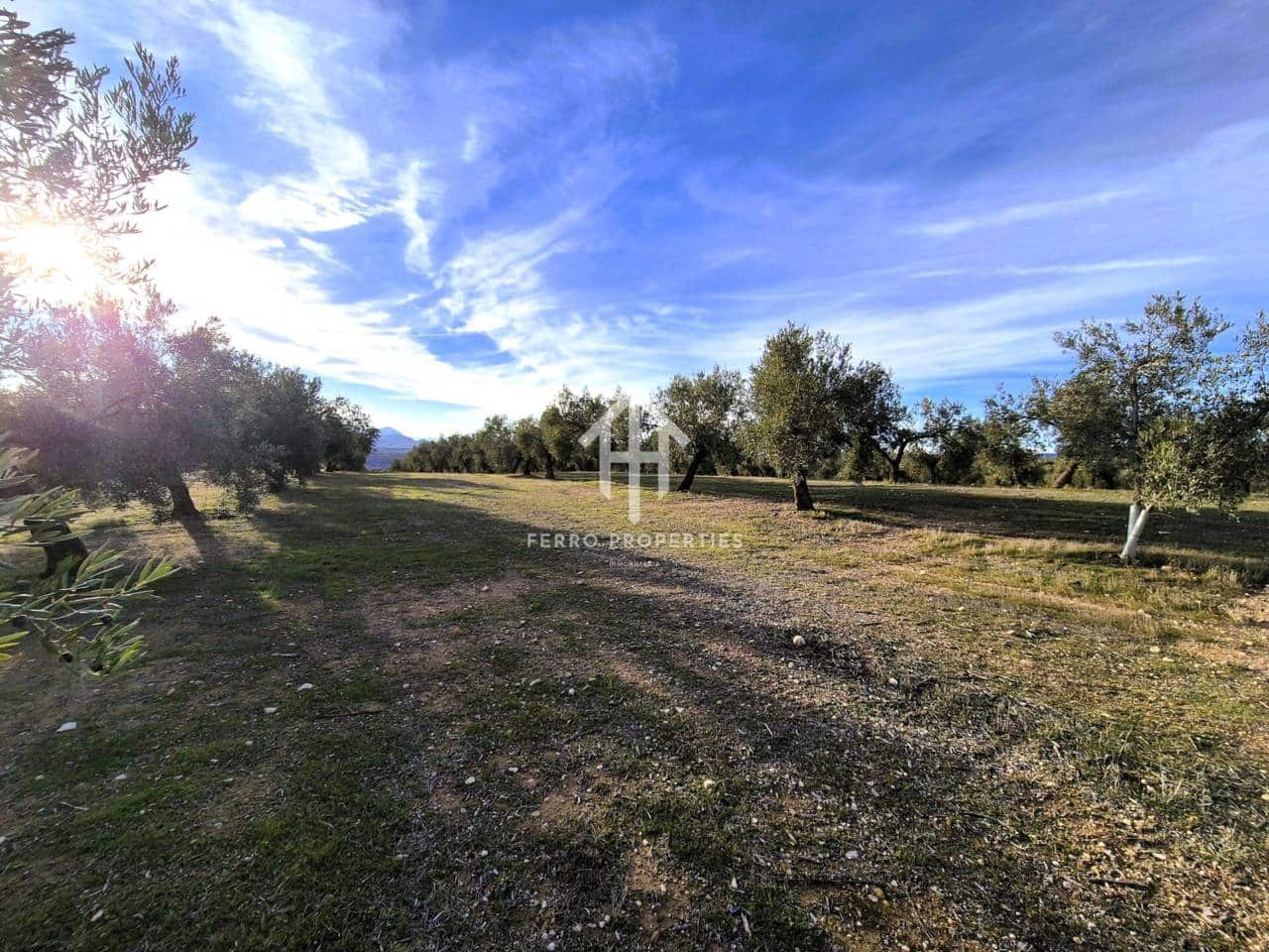 Finca/Maison de Campagne à vendre à Iznalloz - 850 000 € (Ref: 9475822)
