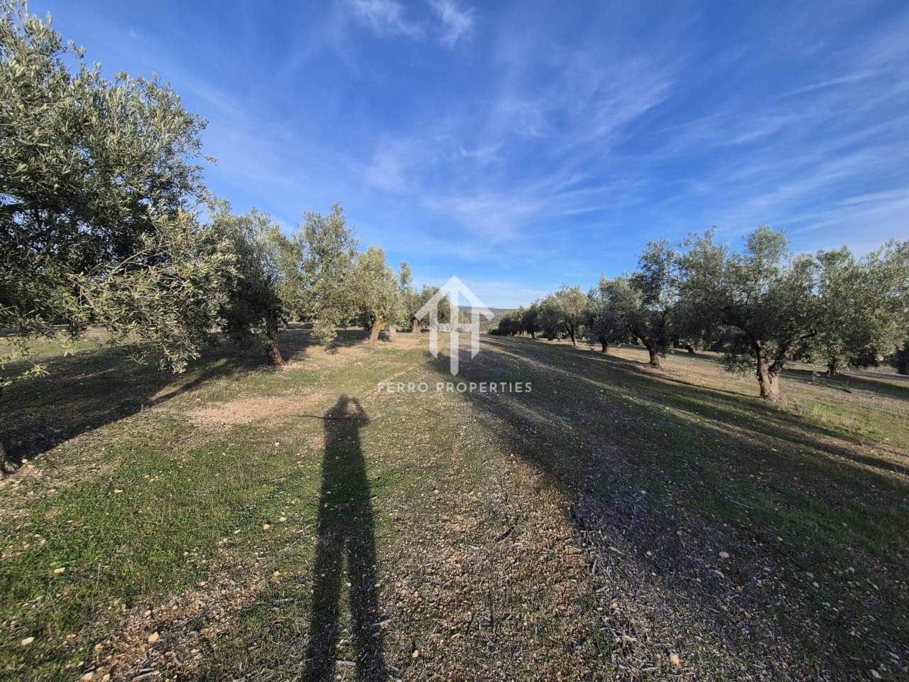 Finca/Maison de Campagne à vendre à Iznalloz - 850 000 € (Ref: 9475822)