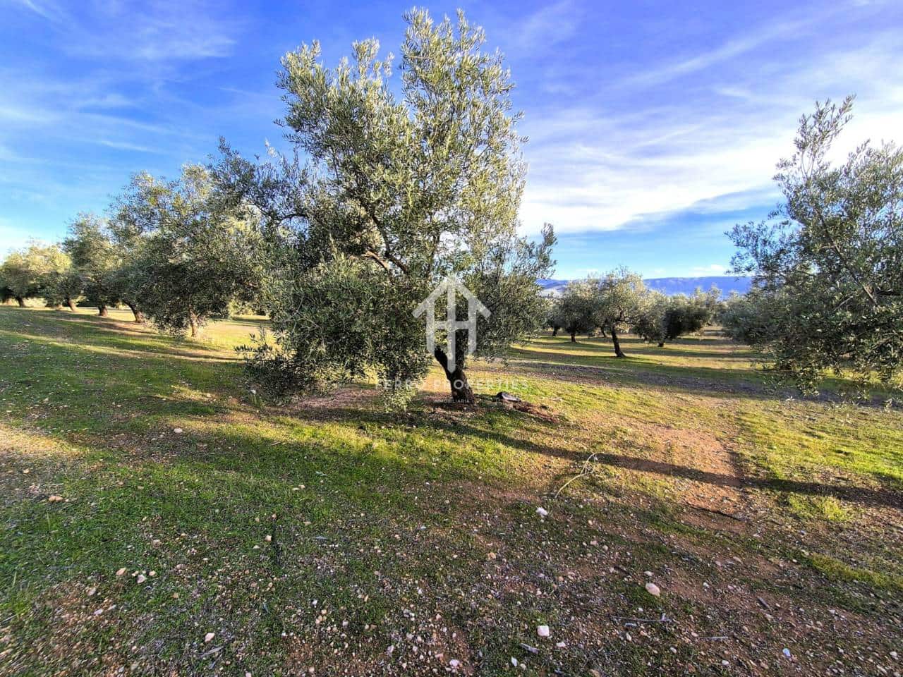 Finca/Maison de Campagne à vendre à Iznalloz - 850 000 € (Ref: 9475822)