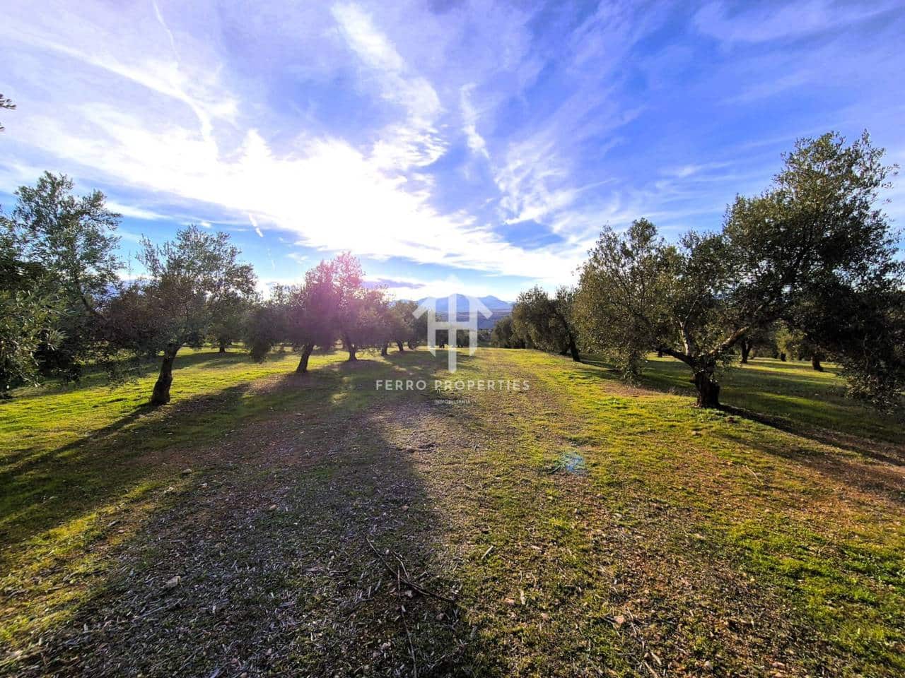 Finca/Maison de Campagne à vendre à Iznalloz - 850 000 € (Ref: 9475822)