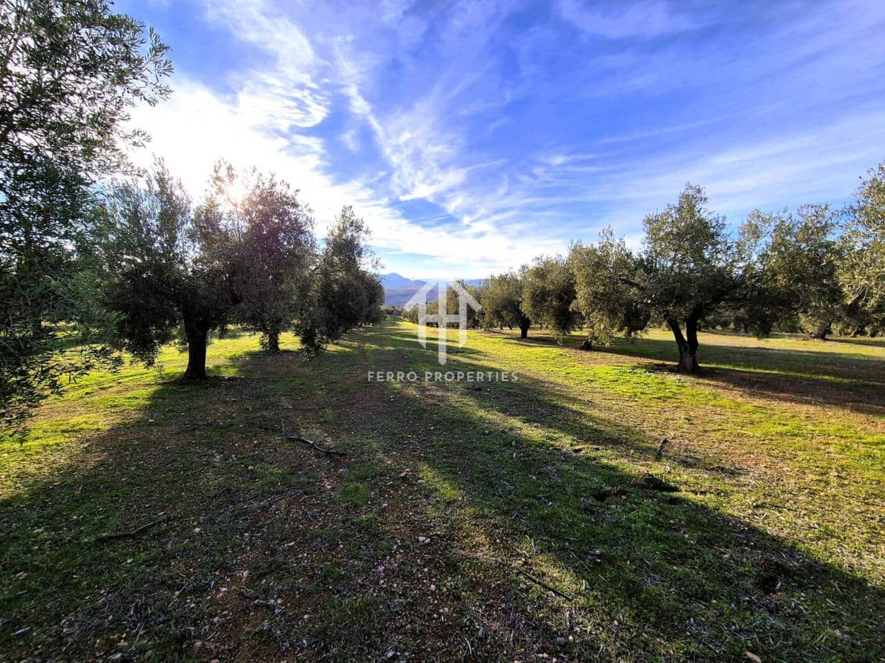 Finca/Maison de Campagne à vendre à Iznalloz - 850 000 € (Ref: 9475822)