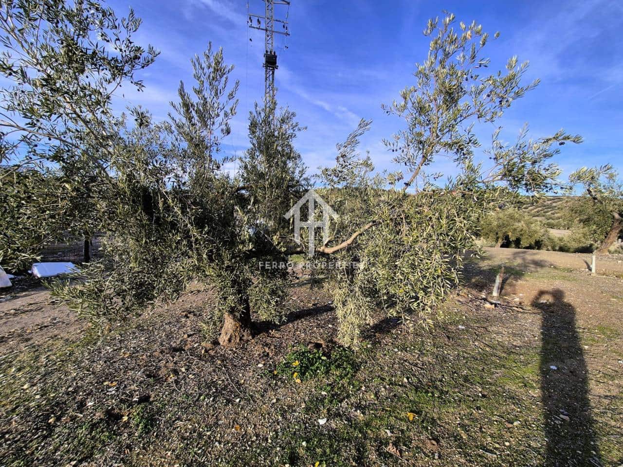 Finca/Maison de Campagne à vendre à Iznalloz - 850 000 € (Ref: 9475822)