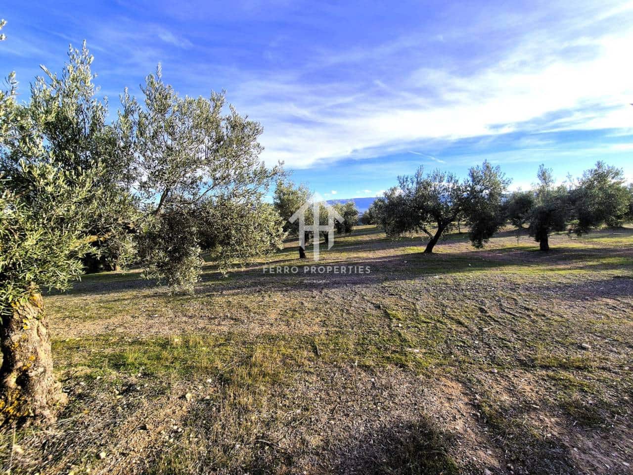 Finca/Maison de Campagne à vendre à Iznalloz - 850 000 € (Ref: 9475822)