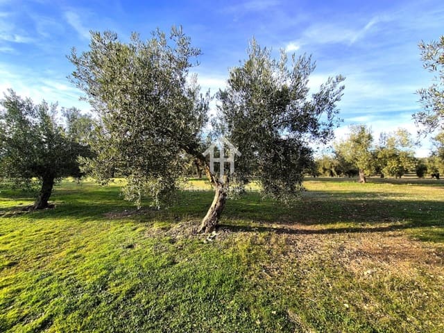 Finca/Maison de Campagne à vendre à Iznalloz - 850 000 € (Ref: 9475822)