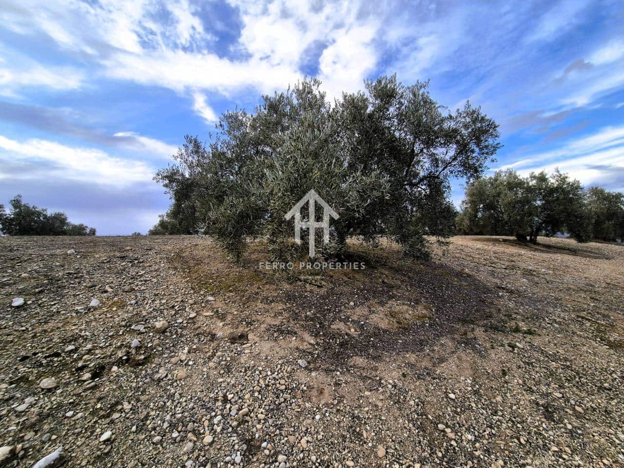 Finca/Country House for sale in Huetor Tajar - € 220,000 (Ref: 9503862)