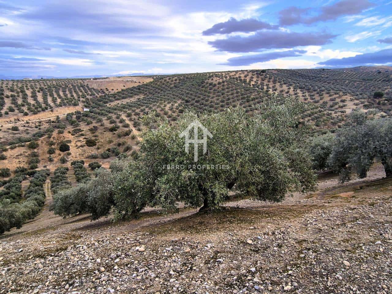 Finca/Country House for sale in Huetor Tajar - € 220,000 (Ref: 9503862)