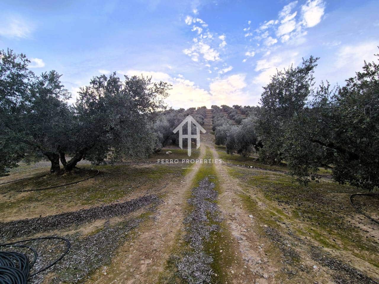 Finca/Country House for sale in Huetor Tajar - € 220,000 (Ref: 9503862)