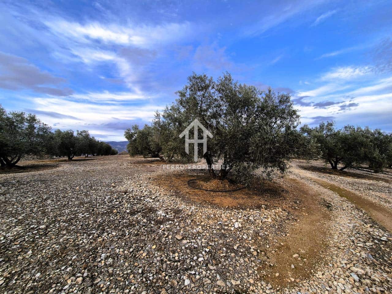 Finca/Country House for sale in Huetor Tajar - € 220,000 (Ref: 9503862)